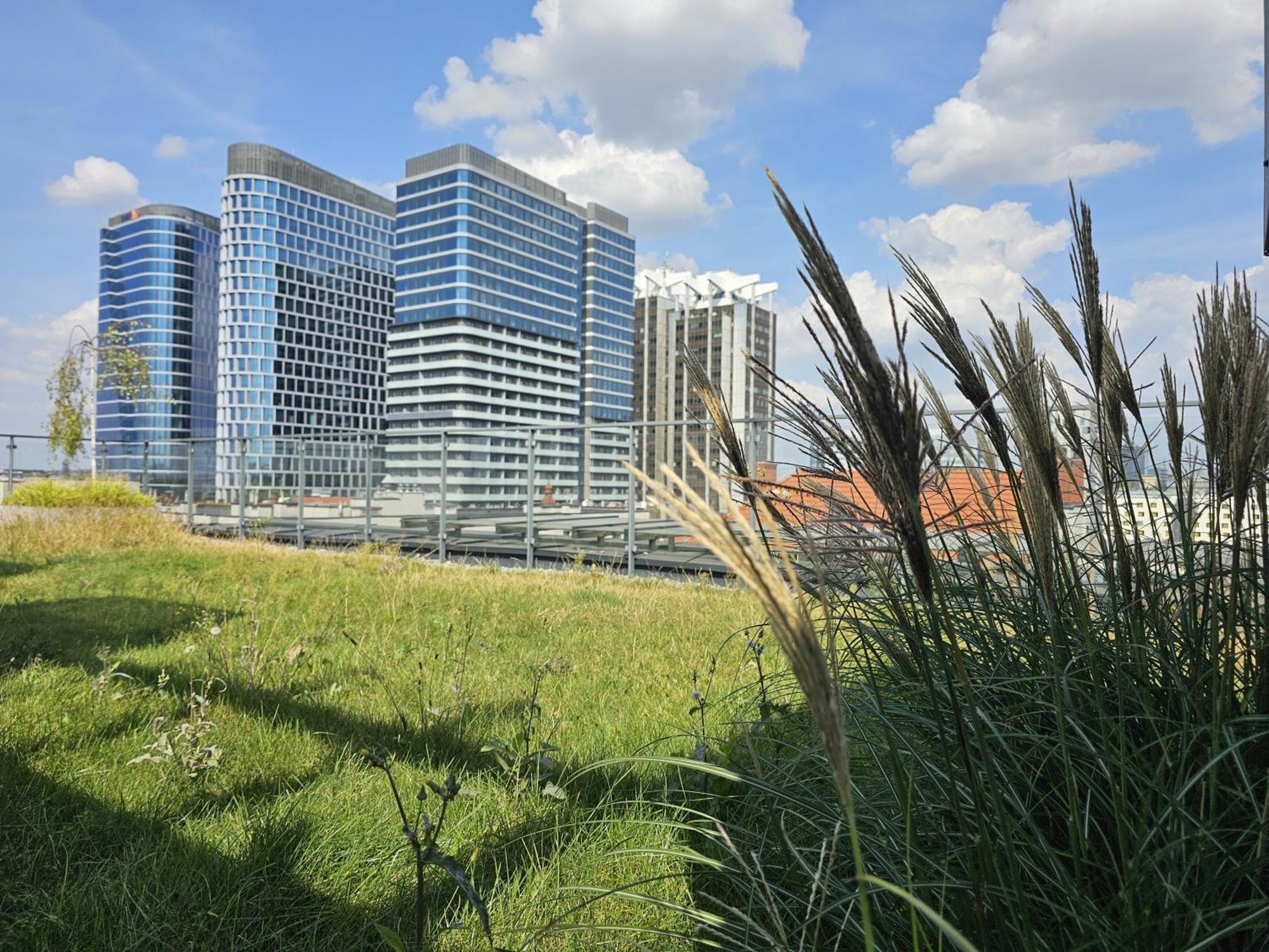 Urban Apartments Premium, Opolska 10 No 67B, Free Garage, Self Check-In Katowice Esterno foto